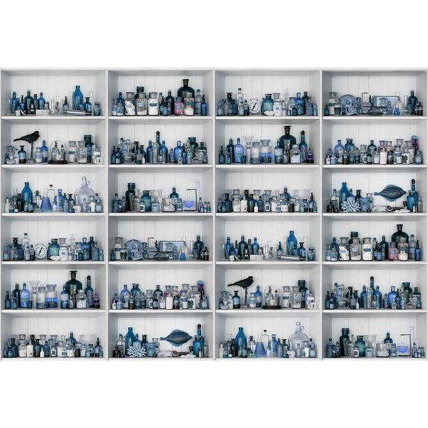 Kuvatapetti Rebel Walls Cabinet of Curios Sapphire, non-woven, mittatilaus
