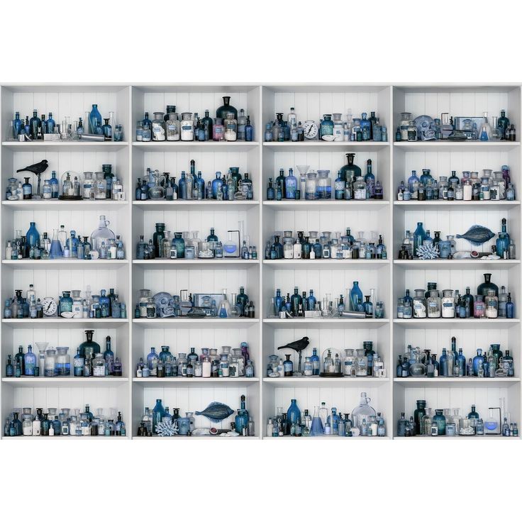 Kuvatapetti Rebel Walls Cabinet of Curios Sapphire, non-woven, mittatilaus