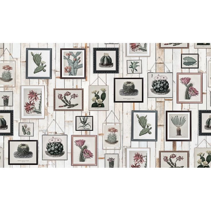 Kuvatapetti Rebel Walls Cactus Wall Art Faded, non-woven, mittatilaus