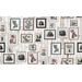 Mallipala Rebel Walls Cactus Wall Art Faded (REBR15322)