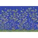 Mallipala Rebel Walls Chinoiserie Chic Cobalt (REBR16747)
