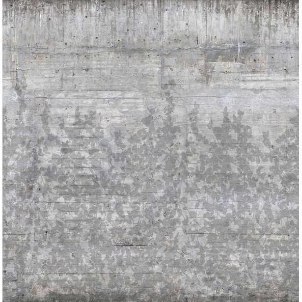 Kuvatapetti Rebel Walls Climbing Clorofyl Shadow, non-woven, mittatilaus