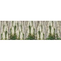 Kuvatapetti Rebel Walls Climbing Ivy, non-woven, mittatilaus