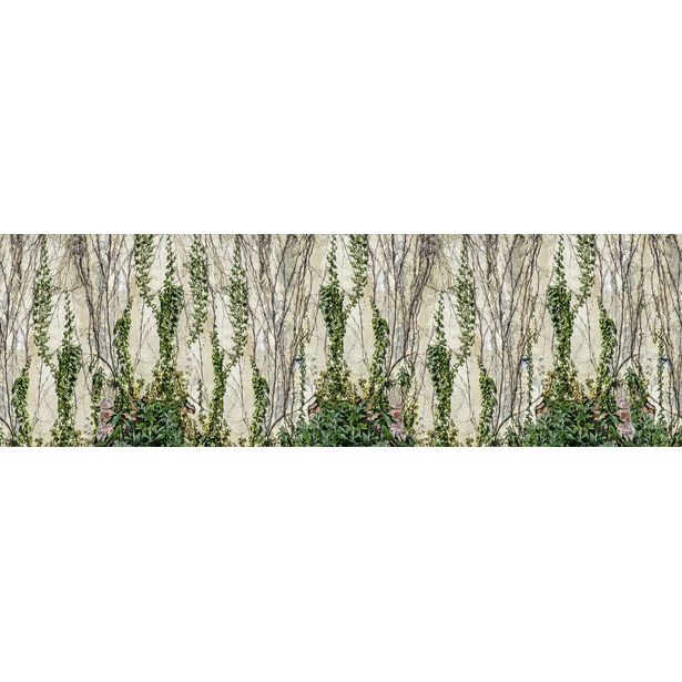 Kuvatapetti Rebel Walls Climbing Ivy, non-woven, mittatilaus