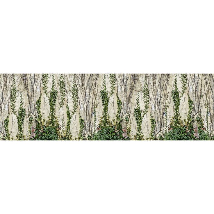 Kuvatapetti Rebel Walls Climbing Ivy, non-woven, mittatilaus