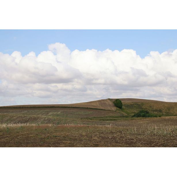 Kuvatapetti Rebel Walls Cropland, non-woven, mittatilaus