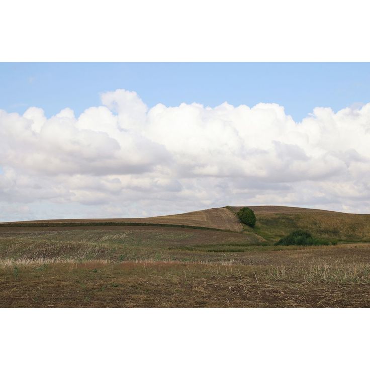 Kuvatapetti Rebel Walls Cropland, non-woven, mittatilaus
