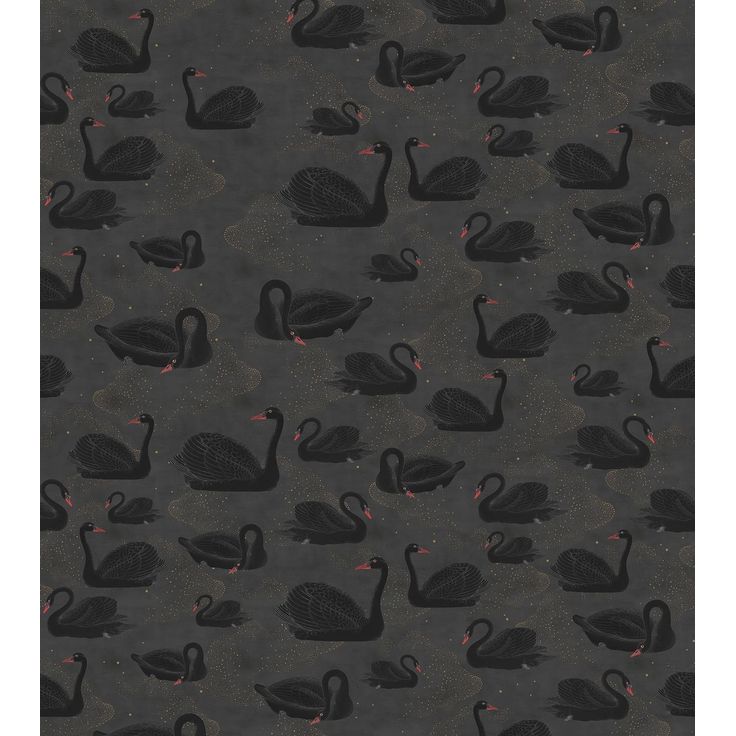 Kuvatapetti Rebel Walls Cygne, Noir, non-woven, mittatilaus