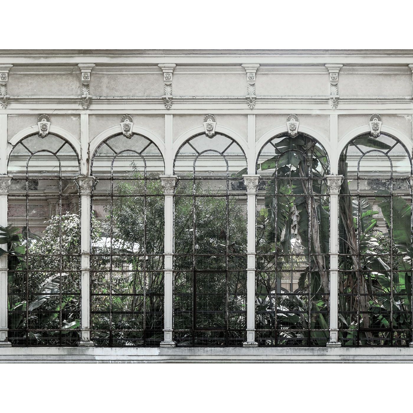 Kuvatapetti Rebel Walls Dove Gardens White, non-woven, mittatilaus