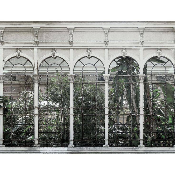 Kuvatapetti Rebel Walls Dove Gardens White, non-woven, mittatilaus