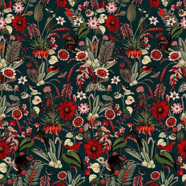 Kuvatapetti Rebel Walls Eden Nightfall, non-woven, mittatilaus