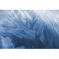 Kuvatapetti Rebel Walls Feathers, non-woven, mittatilaus