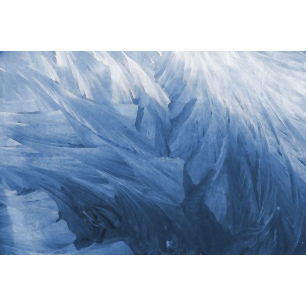 Kuvatapetti Rebel Walls Feathers, non-woven, mittatilaus