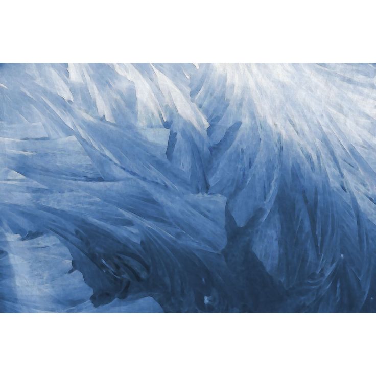 Kuvatapetti Rebel Walls Feathers, non-woven, mittatilaus