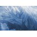 Mallipala Rebel Walls Feathers (REBR12281)