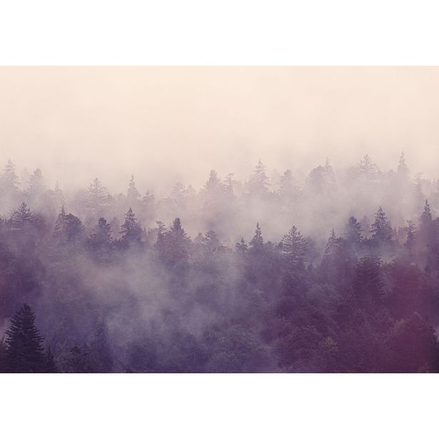Kuvatapetti Rebel Walls Fir Forest, non-woven, mittatilaus