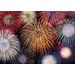Mallipala Rebel Walls Fireworks (REBR11371)