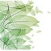 Mallipala Rebel Walls Foliage (REBR12201)
