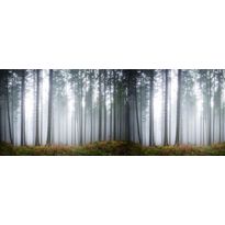 Maisematapetti Rebel Walls Forest Glade, non-woven, mittatilaus