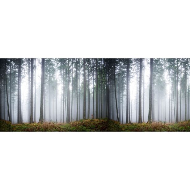 Kuvatapetti Rebel Walls Forest Glade, non-woven, mittatilaus
