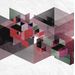 Mallipala Rebel Walls Fractal Red (REBR12313)
