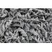 Mallipala Rebel Walls Frost Leaf (REBR12941)