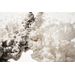Mallipala Rebel Walls Frozen Moment Cream (REBR15452)