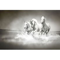 Kuvatapetti Rebel Walls Horses, non-woven, mittatilaus