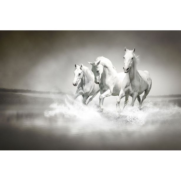 Kuvatapetti Rebel Walls Horses, non-woven, mittatilaus
