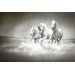 Mallipala Rebel Walls Horses (REBR10201)