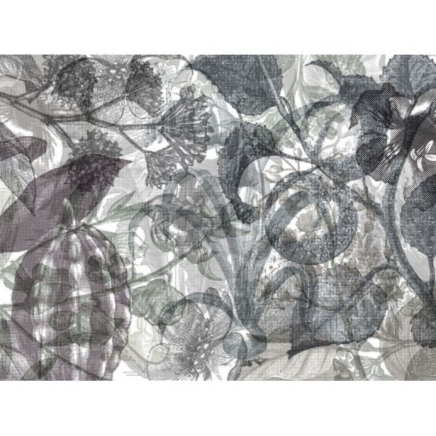 Kuvatapetti Rebel Walls Jelly Belly Plants Black & White, non-woven, mittatilaus