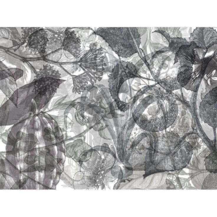Kuvatapetti Rebel Walls Jelly Belly Plants Black & White, non-woven, mittatilaus