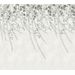 Mallipala Rebel Walls Lush Foliage Sage Tint (REBR16781)