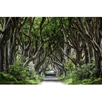 Maisematapetti Rebel Walls Magical Alley, non-woven, mittatilaus
