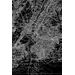 Mallipala Rebel Walls Map of NY (REBR10903)