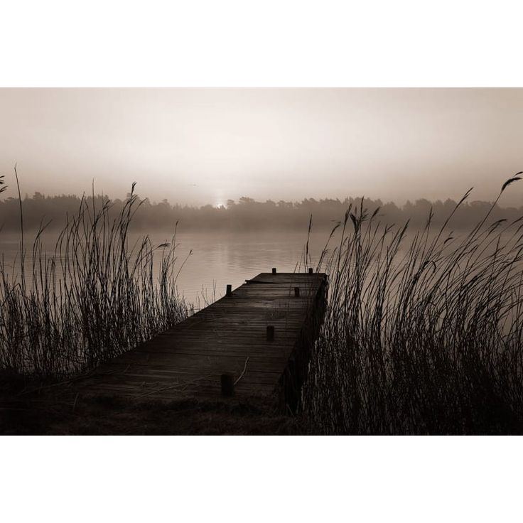 Kuvatapetti Rebel Walls Misty Lake, non-woven, mittatilaus