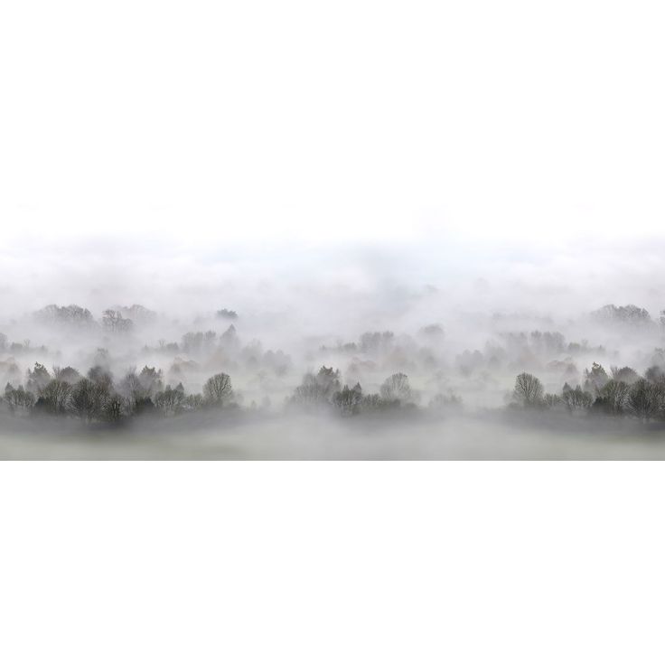 Kuvatapetti Rebel Walls Morning Fog, metsä, non-woven, mittatilaus