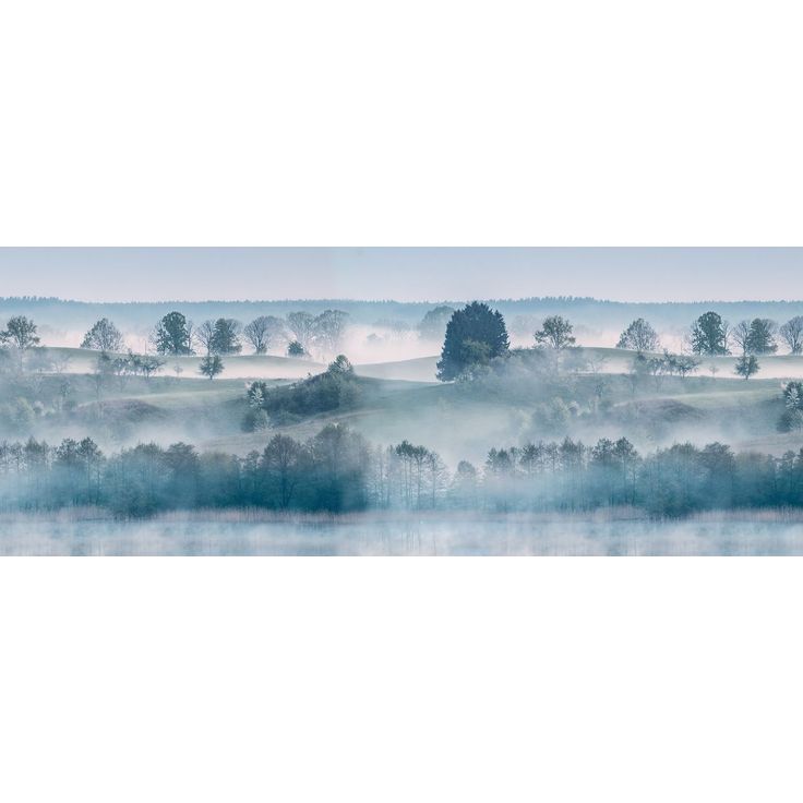 Kuvatapetti Rebel Walls Morning Haze, metsä, non-woven, mittatilaus
