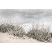 Maisematapetti Rebel Walls Pale Shore, non-woven, mittatilaus