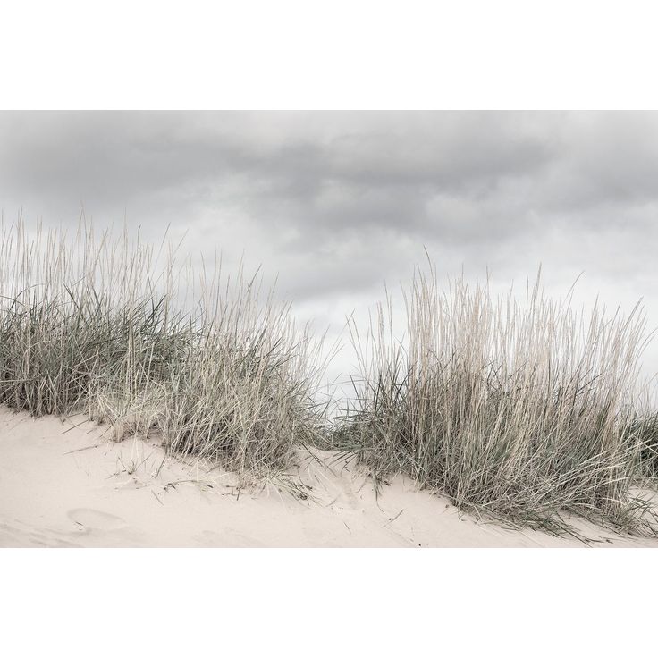 Kuvatapetti Rebel Walls Pale Shore, non-woven, mittatilaus
