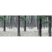 Maisematapetti Rebel Walls Pine Forest, non-woven, mittatilaus
