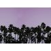 Mallipala Rebel Walls Riviera Daydream Dusk (REBR16052)