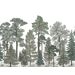 Mallipala Rebel Walls Scandinavian Bellewood Frost (REBR17202)