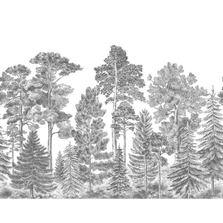 Metsätapetti Rebel Walls Scandinavian Bellewood Gray, non-woven, mittatilaus