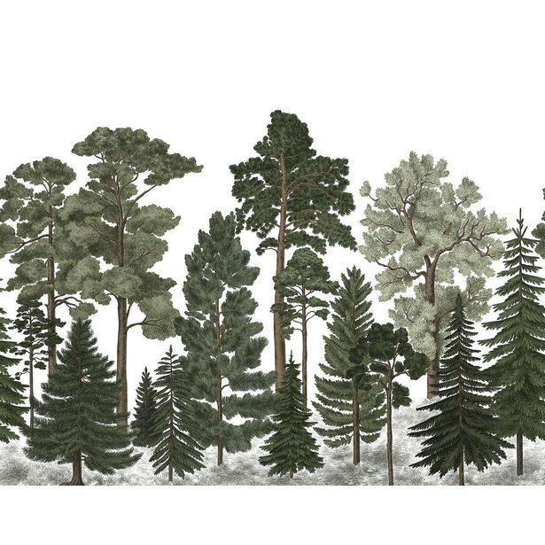 Kuvatapetti Rebel Walls Scandinavian Bellewood, non-woven, mittatilaus
