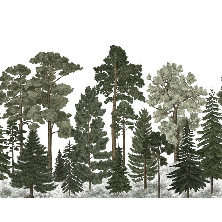 Metsätapetti Rebel Walls Scandinavian Bellewood, non-woven, mittatilaus