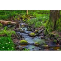 Maisematapetti Rebel Walls Stream, non-woven, mittatilaus