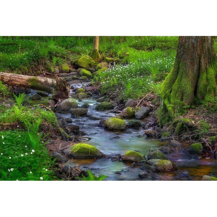 Kuvatapetti Rebel Walls Stream, non-woven, mittatilaus