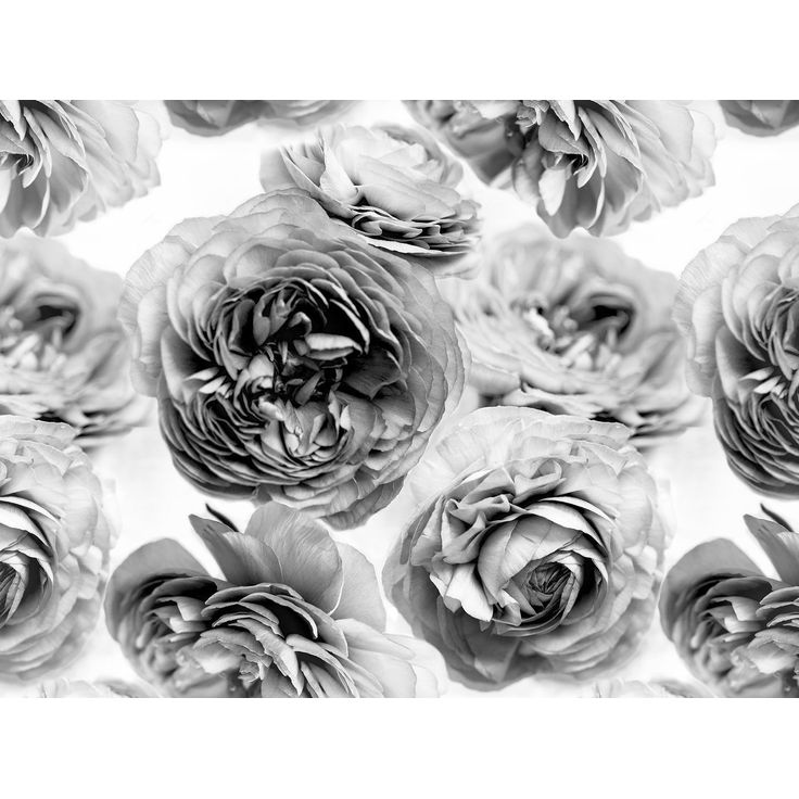 Kuvatapetti Rebel Walls Summer Wind Black and White, non-woven, mittatilaus