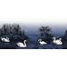 Mallipala Rebel Walls Swan Lake Nightfall (REBR16222)